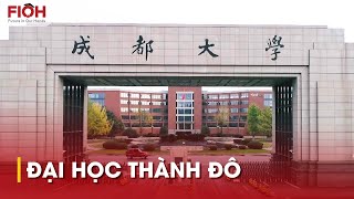 ĐẠI HỌC THÀNH ĐÔ