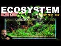 How To Make A ZERO Maintenance ECOSYSTEM Aquarium (FULL BUILD)