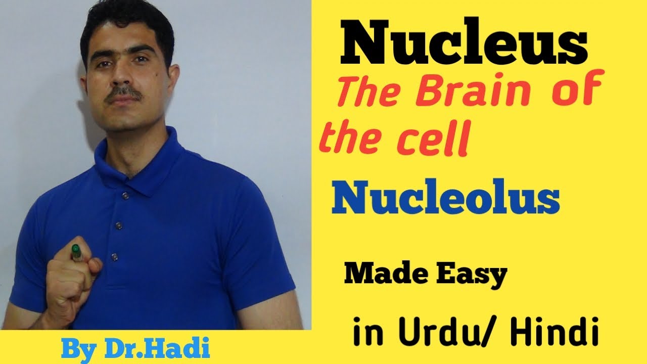 Detail concept of Nucleus and Nucleolus lecture 15 in Urdu Hindi by Dr
