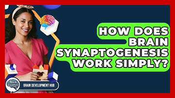How Does Brain Synaptogenesis Work Simply? - Brain Development Hub