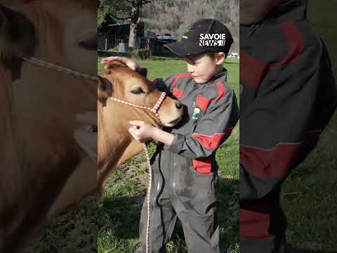 🐄 Terre et Cimes, immersion au cœur de la ferme