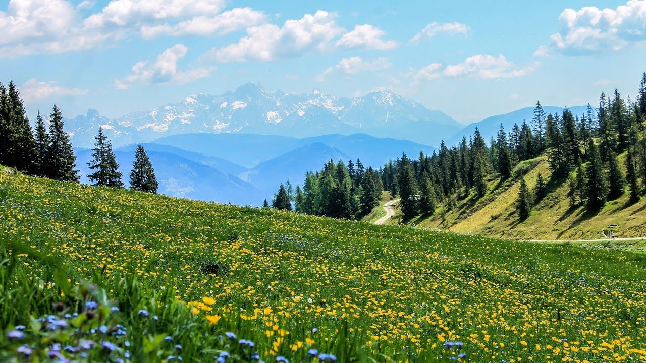 Trilhas Sonoras ao Piano para Acalmar
