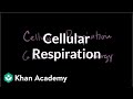 Introduction to cellular respiration | Cellular respiration | Biology | Khan Academy