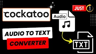 Player Profile How To Transcribe Audio To Text In Minutes | Audio To Text