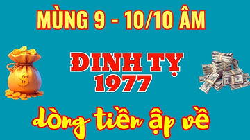 Lộc Trời Gõ Cửa: Đinh Tỵ 1977 - Mùng 9 – 10/10 Âm, Một Bước Thành Đại Gia