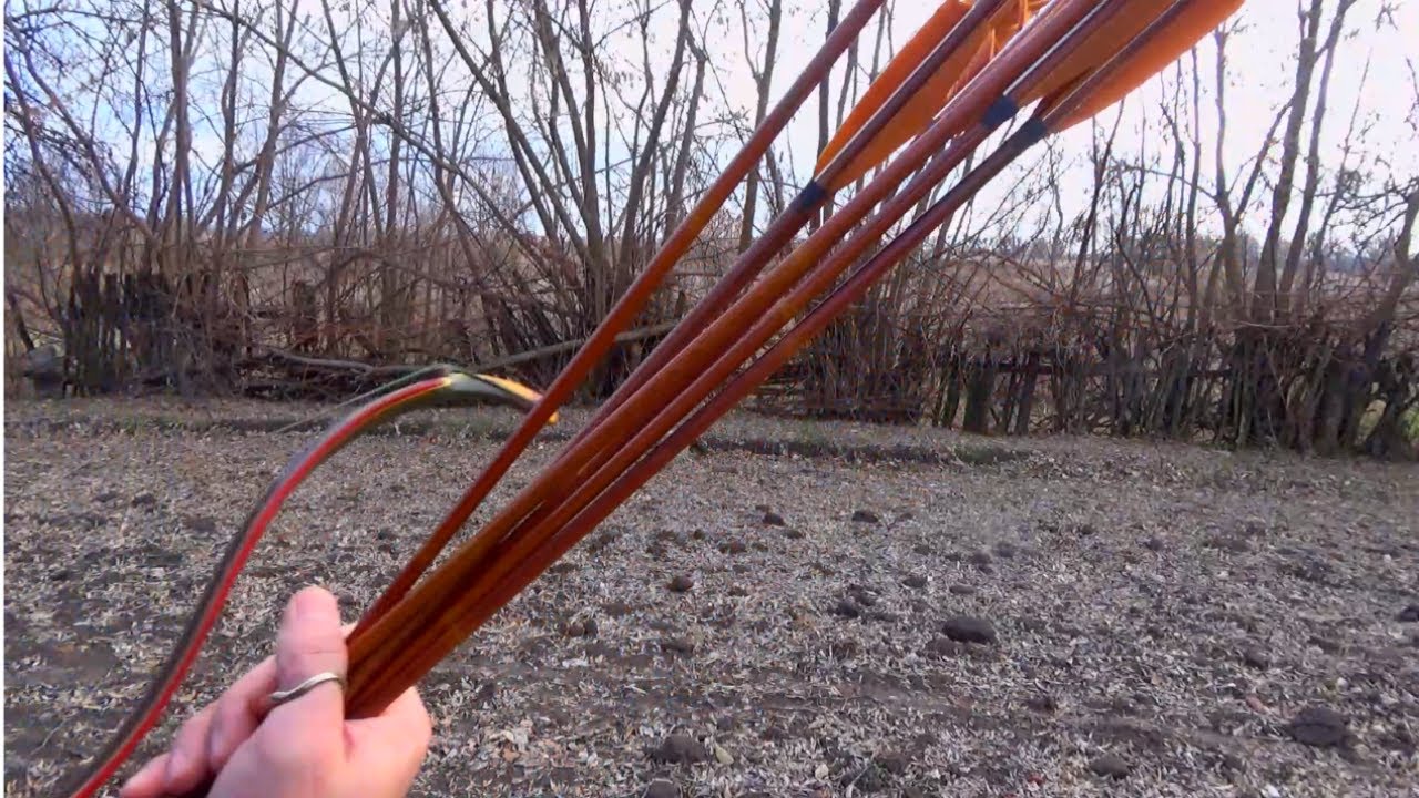 Тест недорогих стрел от Gera. Выстрел на 80 метров