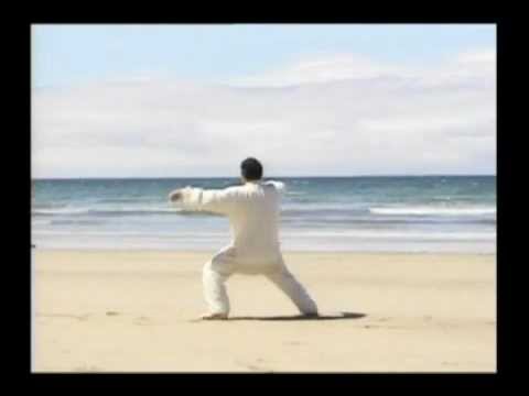 Chen Xiaowang 19 Posture Tai Chi Form