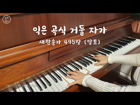 495장_익은 곡식 거둘 자가 - 알토(음성녹음)