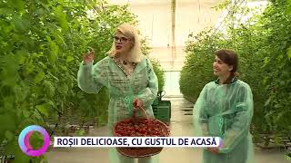 Roșii delicioase, cu gustul de acasă