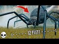 Making a Giant Spider! 🕷 DIY Halloween Props