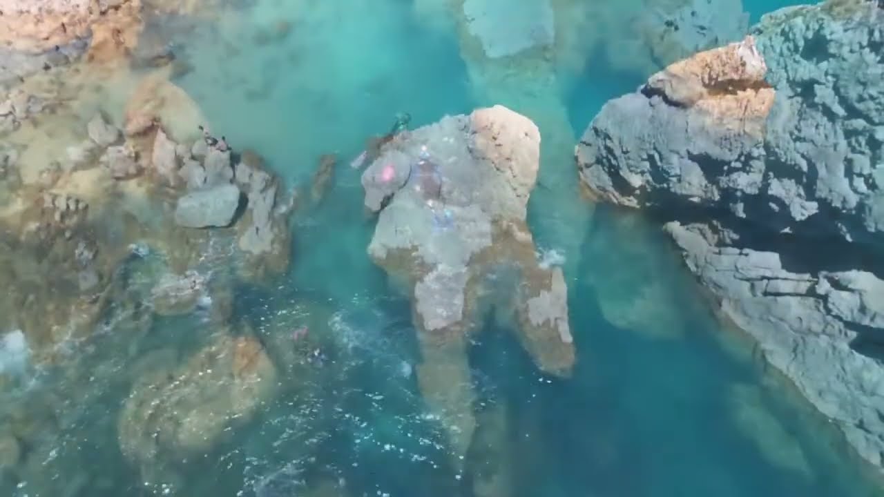 Destination Tours - Snorkelling