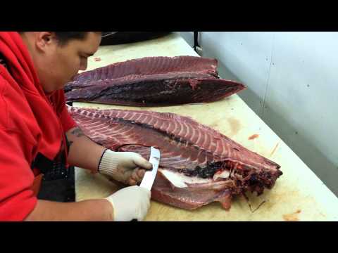 Cutting a 216 lb Ahi at Suisan Fish Market