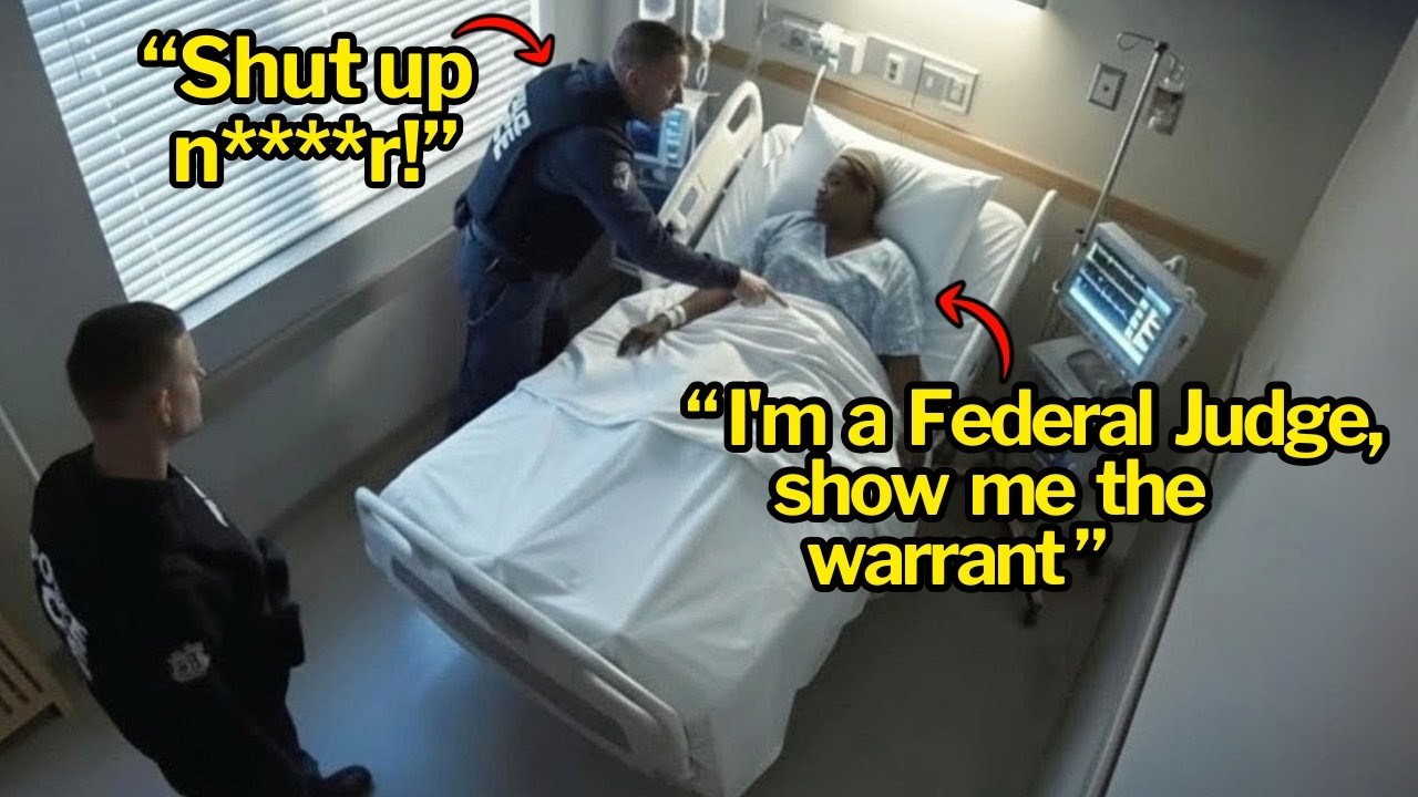 ICE Agents Careers Destroyed After Arrest of Black Federal Judge in ...