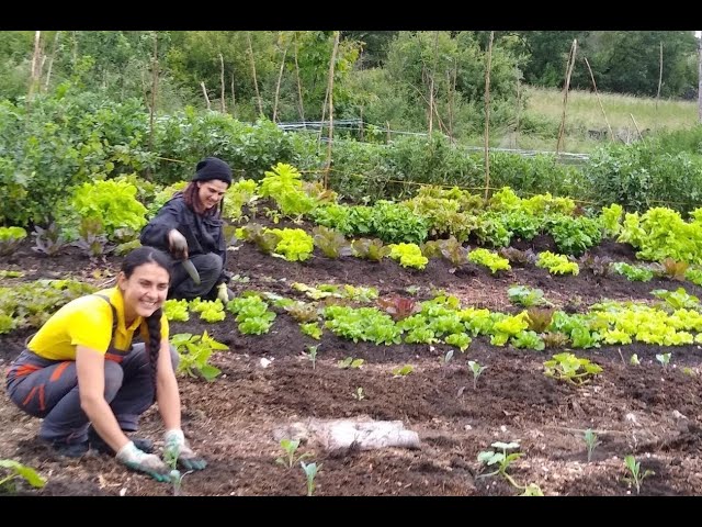 People Who Care: Lina Valencia-Shaw