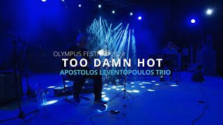 Too Damn Hot - Apostolos Leventopoulos Trio @ Olympus Festival 2023
