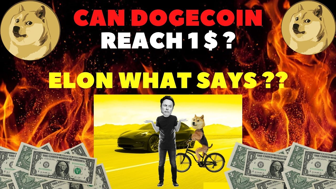DOGECOIN NEWS TODAY CAN DOGECOIN REACH 1 BEFORE 2023 ELON WHAT SAYS DOGECOIN NEWS TODAY CAN DOGECOIN REACH 1 BEFORE 2023 ELON WHAT SAYS