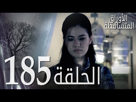 الأوراق المتساقطة الحلقة 185 كاملة مدبلجة بالعربية Leaf Cast 