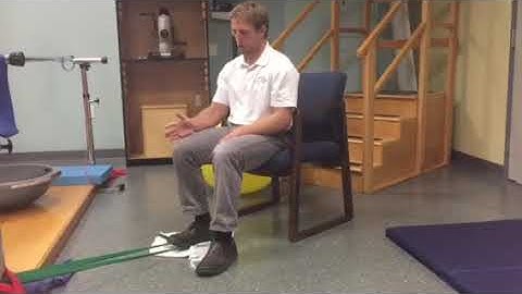 Seated Hamstring Curl