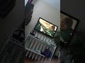 dog watches dog porn not click bait