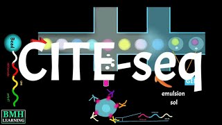 Total-seq Workflow | CITE-seq | Simultaneous Proteomics & Transcriptomics | Biolegend |