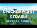 Природа Сибири: поход на Красноярские столбы