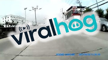 Motorcycle Runs Out of Room as Traffic Stops || ViralHog