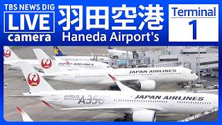 【ライブ】羽田空港 第1ターミナルのライブカメラ 現在の様子は?Haneda Airport's Terminal 1| TBS NEWS DIG