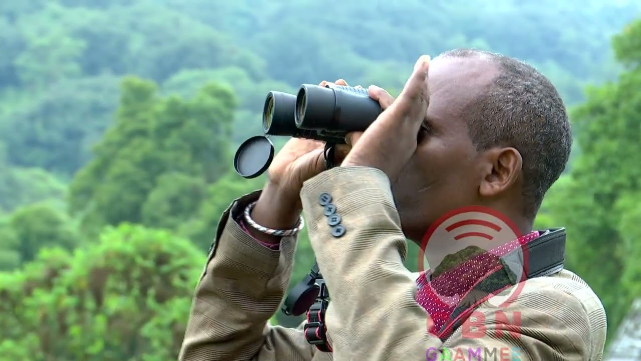 Paarkii Biyyaalessaa Gaarreen Baalee