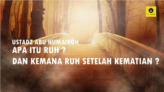 APA ITU RUH DAN KEMANA RUH KETIKA MENINGGALKAN JASAD - USTADZ ABU HUMAIROH