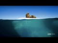 Planet Earth: Blue Planet II | Radiohead & Hans Zimmer - (ocean) bloom | BBC America