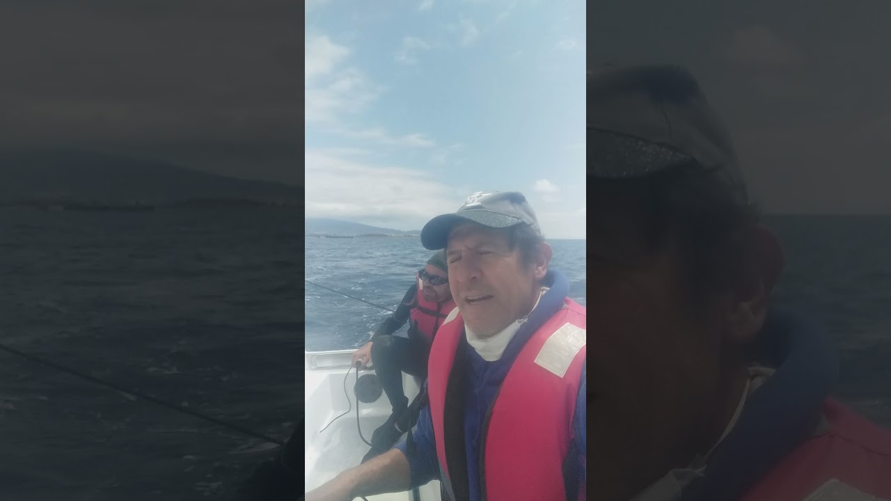 vela ligera pastinaca Salobreña Wind Lord