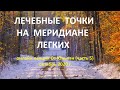 5.  Лечебные точки на меридиане легких