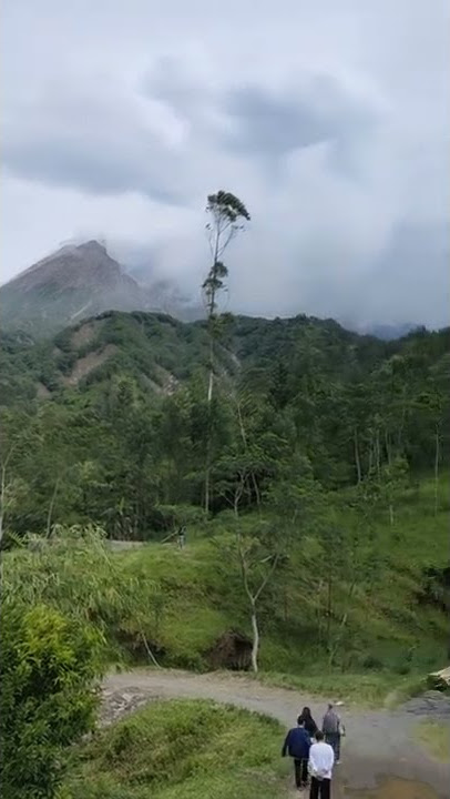 Klangon, Cangkringan #yogyakarta #merapi #jogja #wisatajogja #camping #klangon #shorts #kaliadem