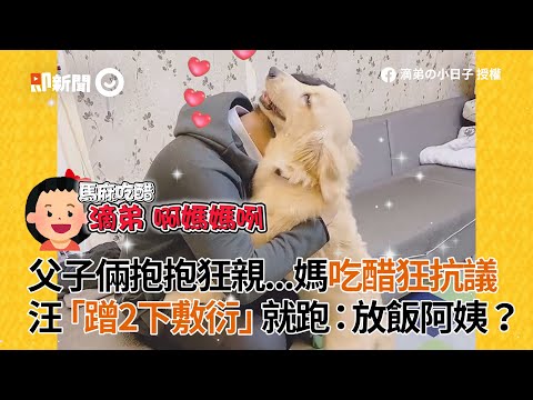父子倆抱抱狂親媽吃醋抗議　汪蹭2下敷衍就跑：放飯阿姨？｜寵物｜黃金獵犬｜狗