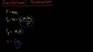 Celebrity Physics: 27. Gravitational Acceleration Net Worth