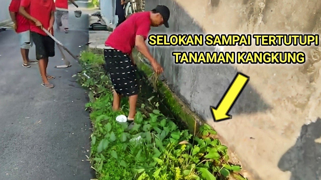 Pembersihan Selokan Yang Tadinya Penuh Kangkung Berlumpur Hitam 