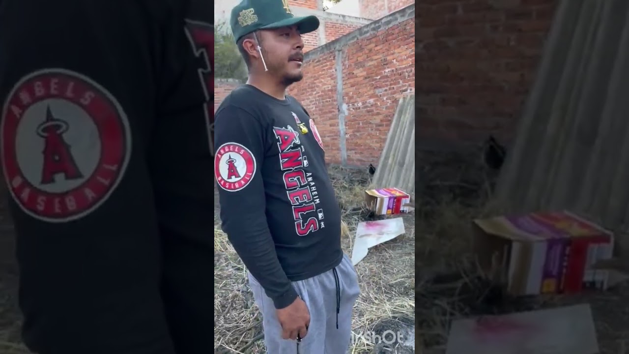 Noticias buenas para la gallera 