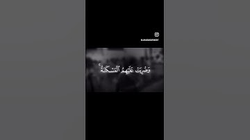 لن يضروكم إلا أذى وإن يقاتلوكم يولوكم الأدبار ثم لا ينصرون - سورة ال عمران - محمد اللحيدان