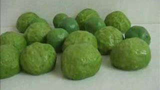 Download Lagu Een onderzoek naar elementaire bouwstoffen MP3