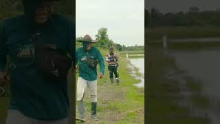 Download Lagu Casting ikan gabus #feedshorts #shorts #viral #mancing #fishing #ikan #fish MP3