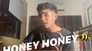 #RNASELEBCOVER Irfan Haris - Honey (New Song )