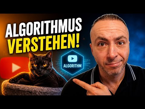 Warum der Algorithmus dich ignoriert (erklärt wie für eine Katze)