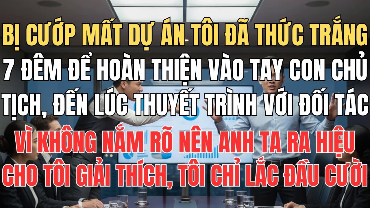 Bị Cướp Mất Dự Án Dành Nhiều Ngày Hoàn Thiện Vào Tay Con Trai Giám Đốc, Tôi Chỉ Mỉm Cười Lắc Đầu