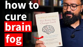 How To Think So Clearly People Assume You’re A Genius