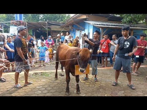 Pemotongan Hewan kurban di halaman Masjid Darussalam link Baru II saat Iduh adha