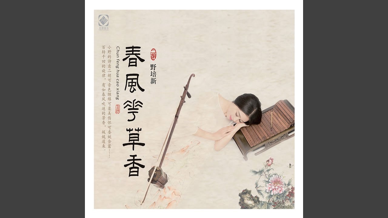 Regardez 明月几时有 (feat. 丁晓逵) sur YouTube