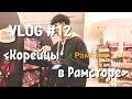 VLOG #12 - Корейцы в Рамсторе