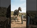 WHAT IF TERROR BIRDS WERE STILL ALIVE TODAY? #shorts #viralshorts #whatif #extinctanimals