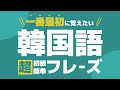 【聞き流し韓国語】基本フレーズ | 単語・日常会話・会話・簡単・勉強・初心者・リスニング・K-POP・旅行