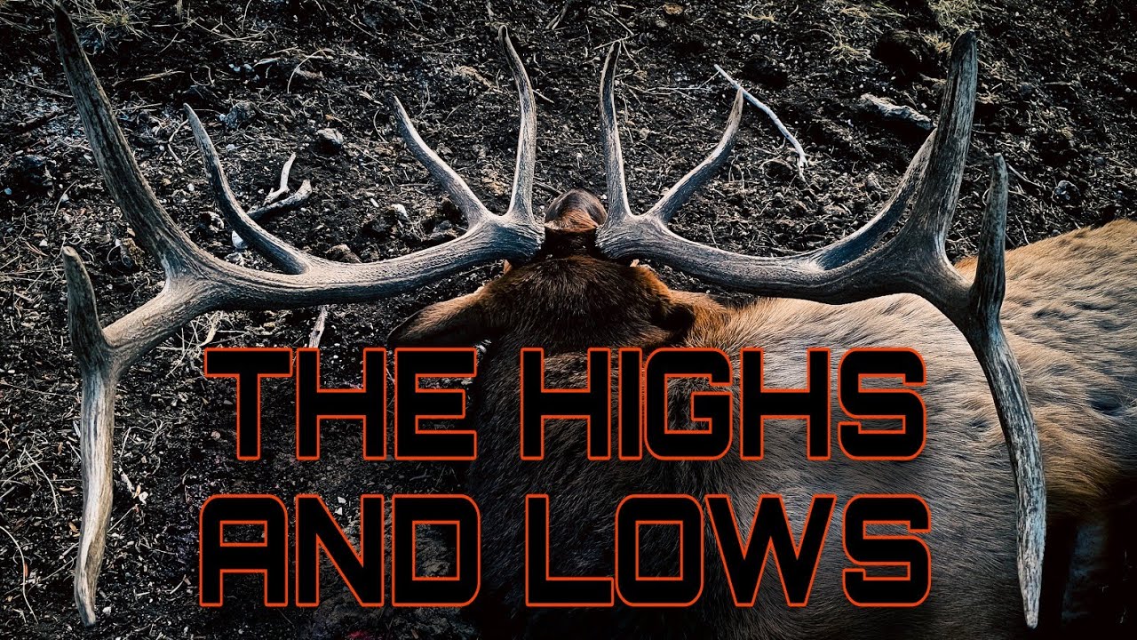 BULL ELK HUNT UTAH 2024 | THE HIGHS AND LOWS | ELK HUNTING - YouTube
